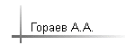 Гораев А.А.